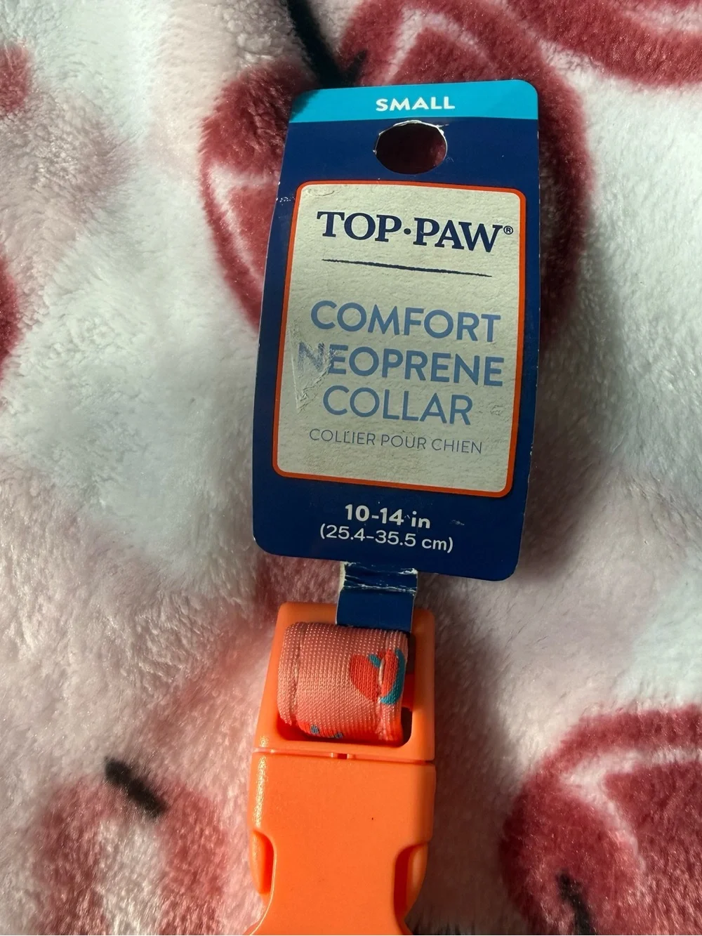 Top Paw Small Dog Collar